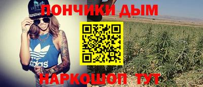 крисы Малоярославец