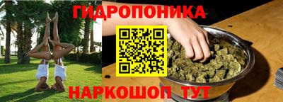 прущие крисы Малгобек