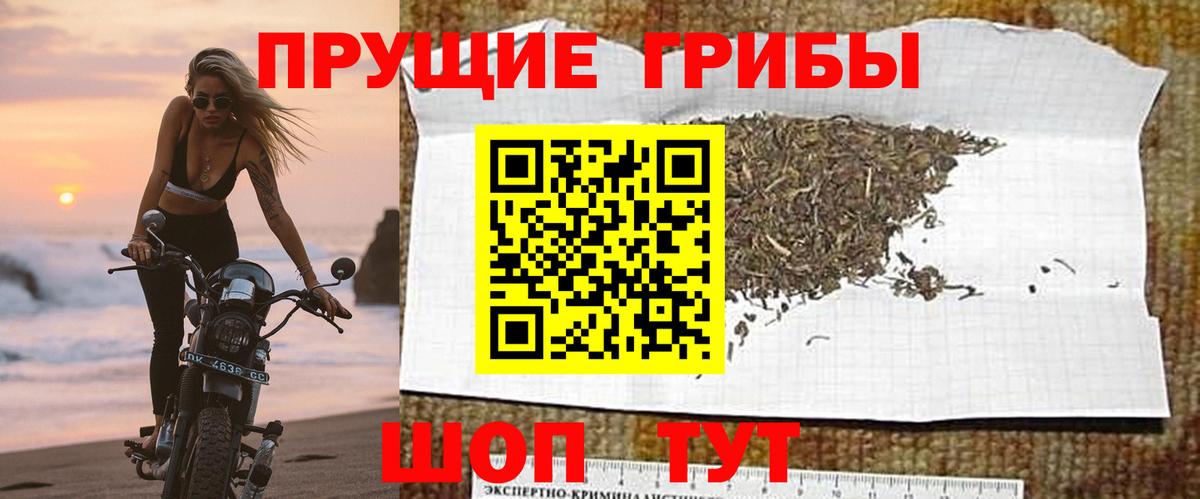 Псилоцибиновые грибы мухоморы Трёхгорный