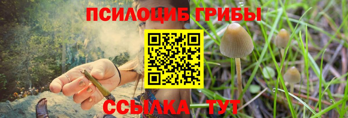 купить   Галлюциногенные грибы прущие грибы  Вход с VPN  Трёхгорный 